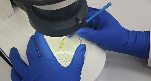 Фото: пресс-служба  ФГБУ «ЦОК АПК»